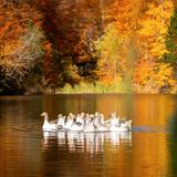 And we know that all things work together for good to them that love God, to them who are the called according to his purpose. Romans 8:28 !