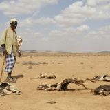 Somalia nell'abisso della fame: non piove da tre anni