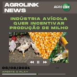 Podcast: Setor avícola trabalha para aumentar produção de milho