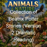 Collection of Beatrix Potter Stories Version 2 Dramatic Reading - Beatrix Potter