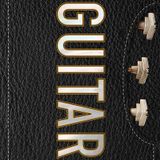 David Schiller Sets Free Guitar The Worlds Most Seductive Instrument