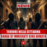 Terrore In Città: Banda Di Immigrati Gira Armata!