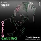 Luca Scarlini racconta David Bowie, "Nascita di una stella"