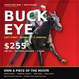 Mustr Racing, Race Horse Syndication & How to Own a Horse for $255