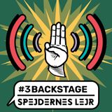 Spejdernes Lejravis #3: Backstage på åbningslejrbålet og delegationen fra Polen