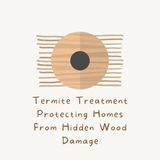 Termite Treatment Protecting Homes From Hidden Wood Damage