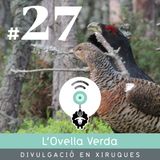 27 | El gall fer, biologia i acústica. Amb l'Olga Jordi Torres