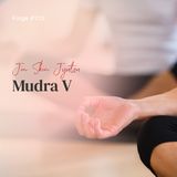Jin Shin Jyutsu Mudra V  | ca. 19 Min | Folge 123