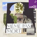 Même pas mort 3/7 : Chacun cherche sa place