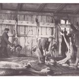 Ep. 65: L'ultimo Natale di Przemyśl (1 dicembre 1914 - 15 gennaio 1915)