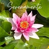 Il giardino degli angeli
