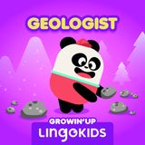 Studying Stones with Geologists