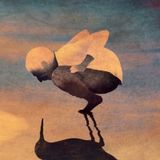 Episode 47 - The Anti Social