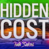 What is the HIDDEN COST of data centers?