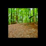 Three Triangle Repeats (down Glendenning)