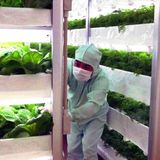 Cibo del futuro: Cosa mangeremo nel 2050