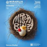 Fabrizio Gavosto - Mirabilia Festival 2024
