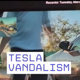 Meredith Censullo - Bradenton Police Looking for Tesla Vandal Suspect