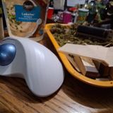 Lompster bisque and entrepreneurs