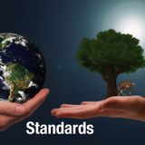 Steady under Load: Standards