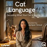 Cat Language - Reading the Tail, Ears, and Eyes