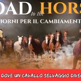 # 163 -  Da Selvaggio a Partner in 72 Ore: La Storia di Road to the Horse