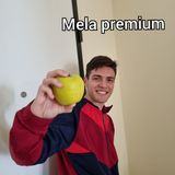 #Cremona Mango premium