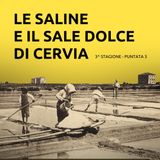 3. Le Saline e il sale dolce di Cervia