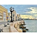 Bari 24 ottobre 1825 - Justus Tommasini da «Viaggiatori tedeschi in Puglia nell'800»