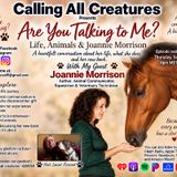 Are You Talking to Me? Life, Animals, and Joannie Morrison