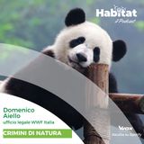 Crimini di natura (Domenico Aiello - ufficio legale WWF Italia)