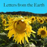 A Letter from the Earth about Keeping Hope and Love Alive