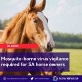SA's mosquito-borne horse virus concerns #agchatoz @SA_PIRSA