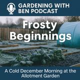 🎧 ❄️ Frosty Beginnings | A Cold December Morning at the Allotment Garden