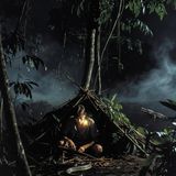 Perdido En El Amazonas