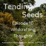Ep 10 - Wildcrafting Thoughts