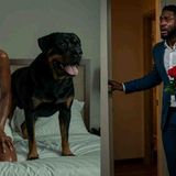 Groom  Discovers  Bride_s Shocking Betrayal_ Then Turned The Wedding Into Revenge(MP3_160K)