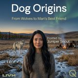 Dog Origins - Campfire Scraps and Friendly Faces: How Wolves Tamed Themselves