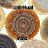 Spiritual Mold