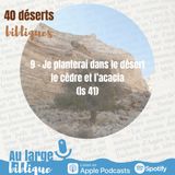 #26 Désert 9 - Je planterai dans le désert le cèdre et l'acacia (Is 41)