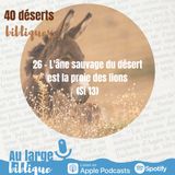 #43 Désert 26 - L'âne sauvage du désert est la proie des lions (Si 13)