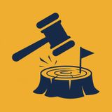 Judge questions Trump DOJ over golf course tree clearing