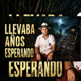 NUNCA DEBÍMOS ENTRAR A ESE CAÑAVERAL
