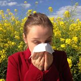Qué me pasa doctor: Alergias primaverales
