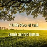 A Poem: A Little Bit Of Land