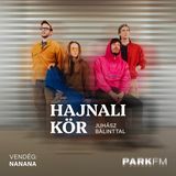 NANANA: Gyerekkorunk óta vágytunk rá, hogy legyen egy saját vinyl lemezünk | Park FM – Hajnali Kör
