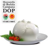 Mozzarella di Bufala Campana PDO and maincourses