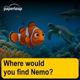 Where would you find Nemo?