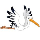 Waarom de ooievaar van Holland houdt | Verhalen Over Vogels