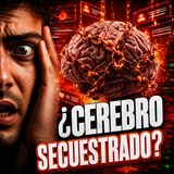 Tu Cerebro Esta Secuestrado (El Antídoto De 30 Días)